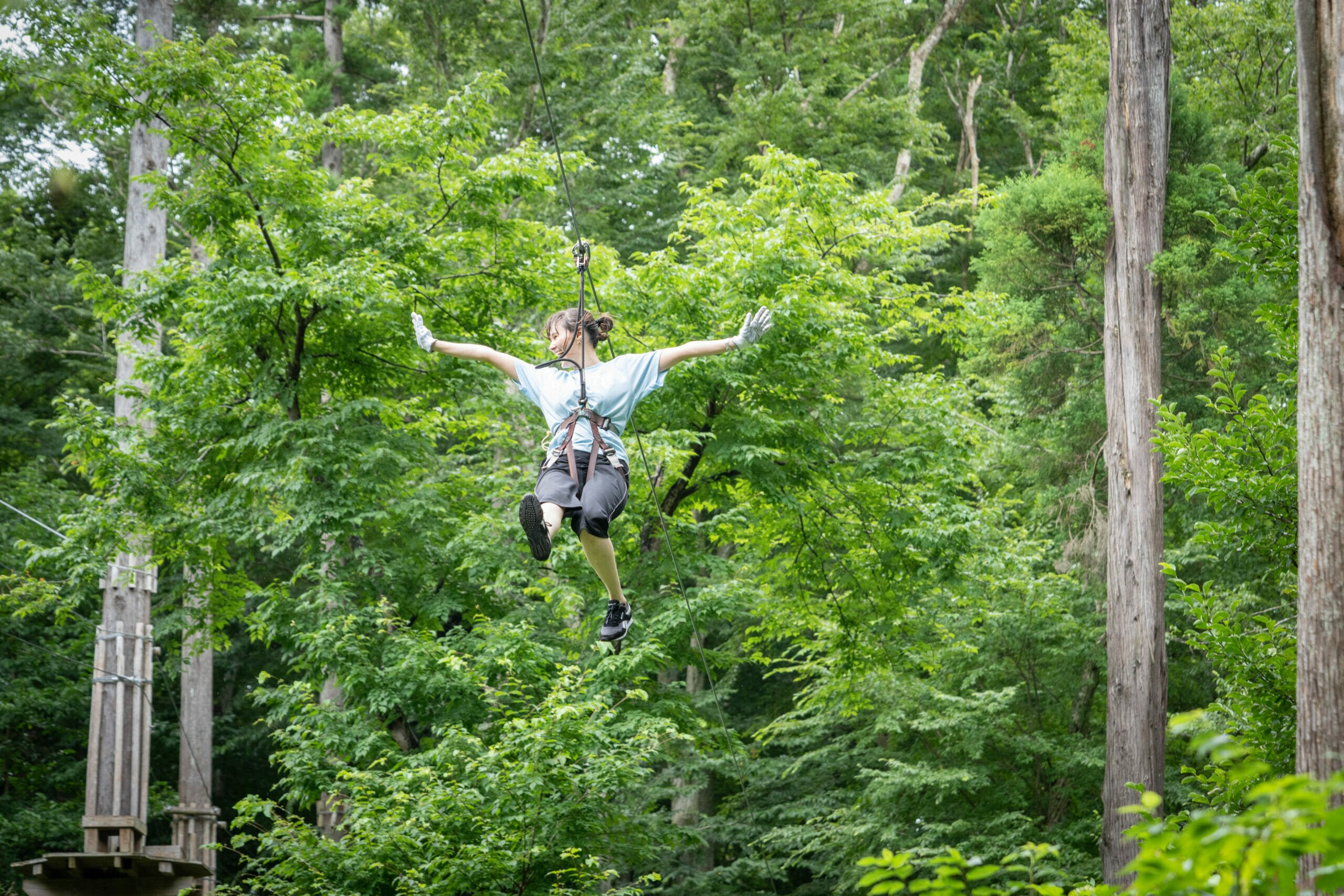 🌳 이즈미 자연 공원 (이즈미 시젠 코엔) 이미지 3